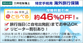 特定手続用　海外旅行保険　ネットde保険＠とらべる 